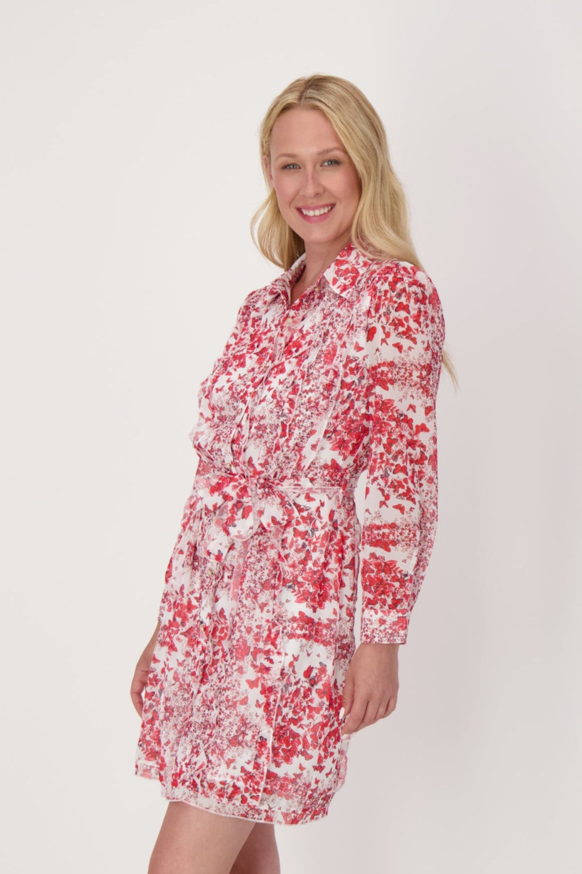 Butterfly Print Belted Dress