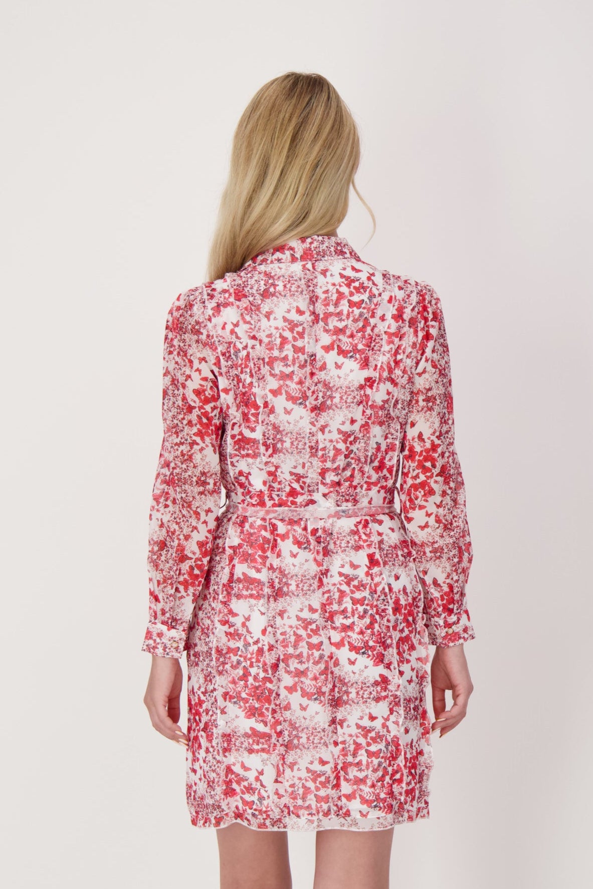 Butterfly Print Belted Dress
