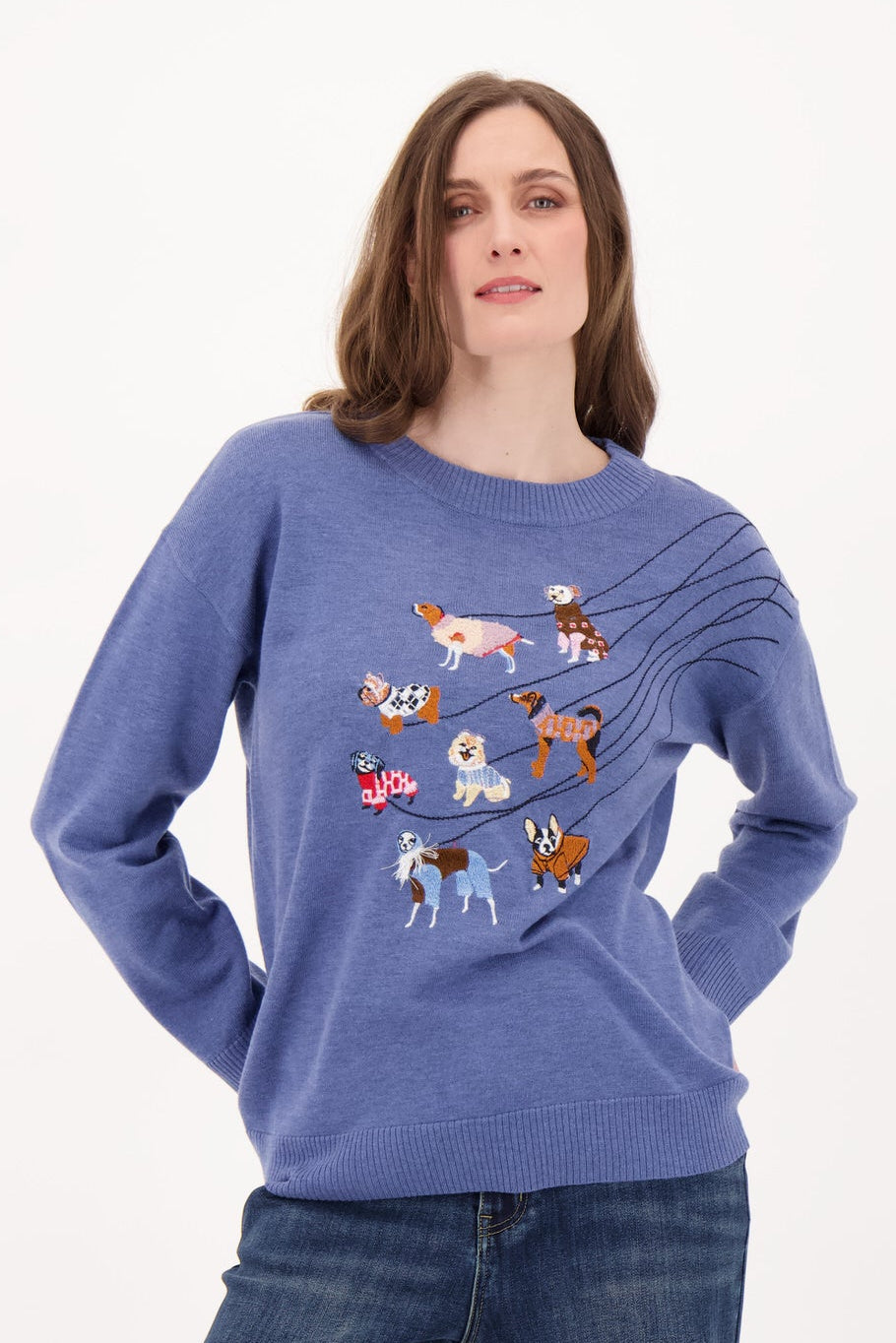 Dog Walk Sweater