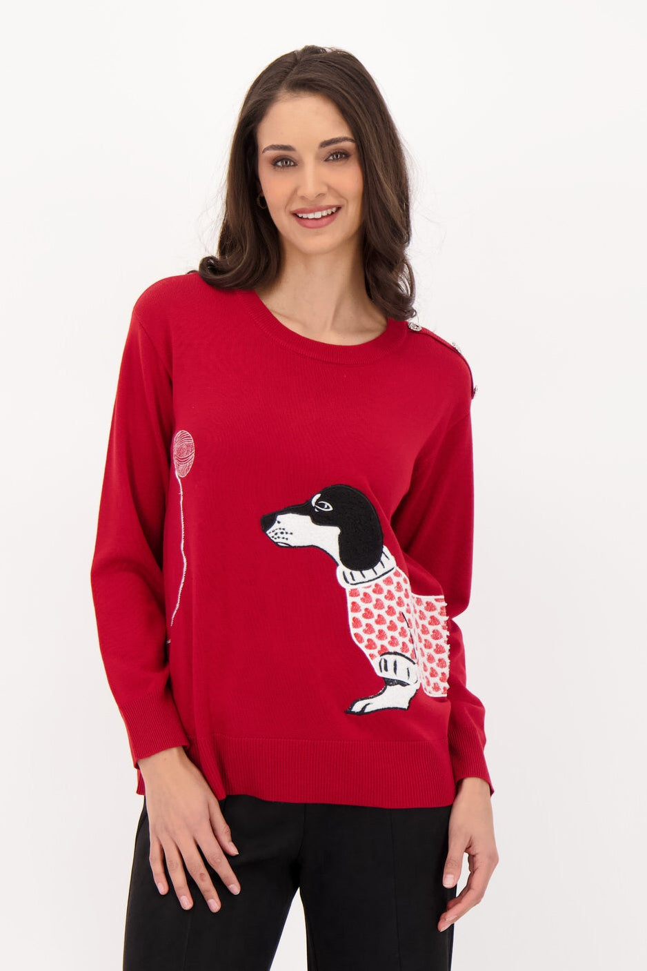 Dog With Ball Sweater