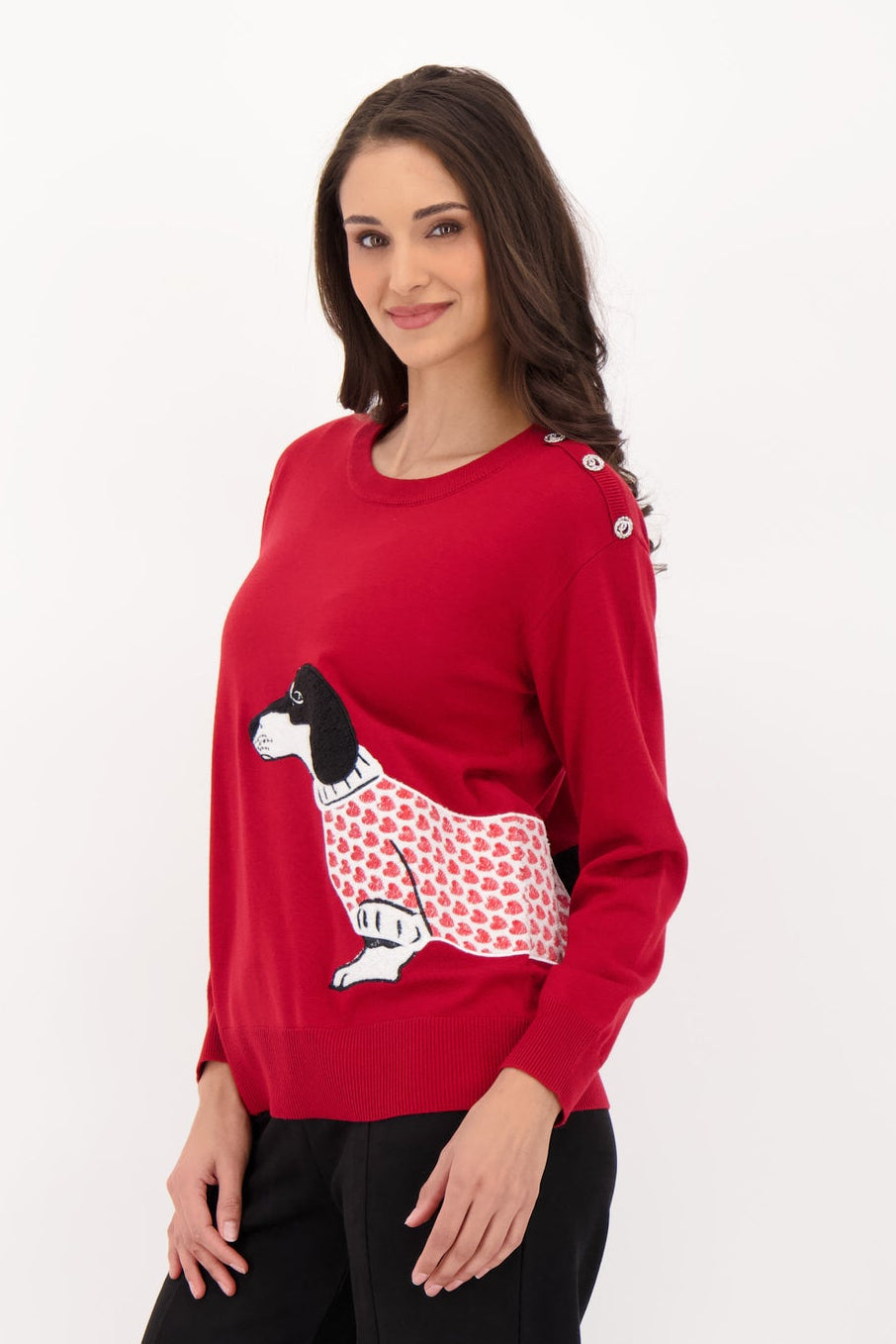 Dog With Ball Sweater