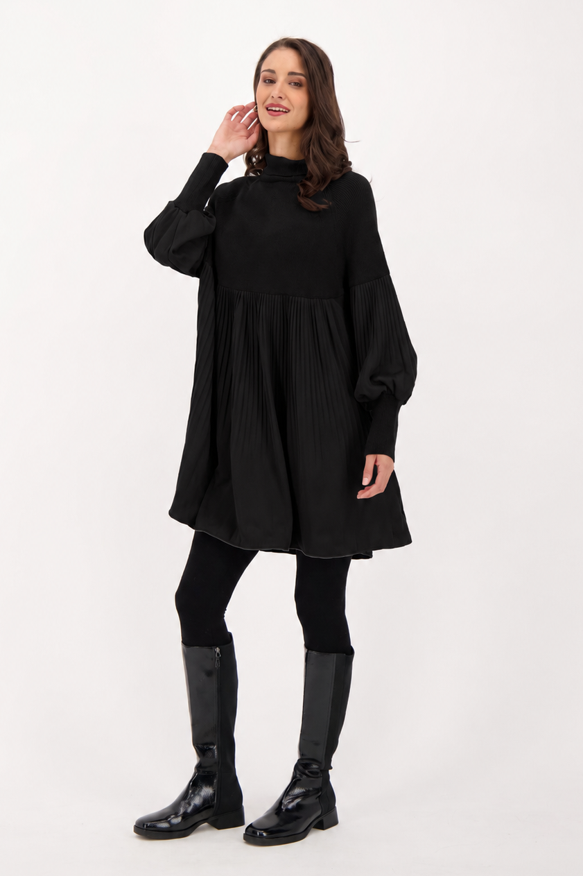 Sweater/Pleated Dress